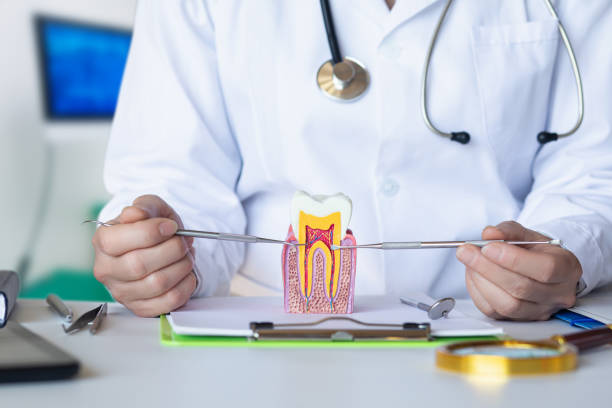 Best Emergency Wisdom Teeth Removal in Sibley, IA
